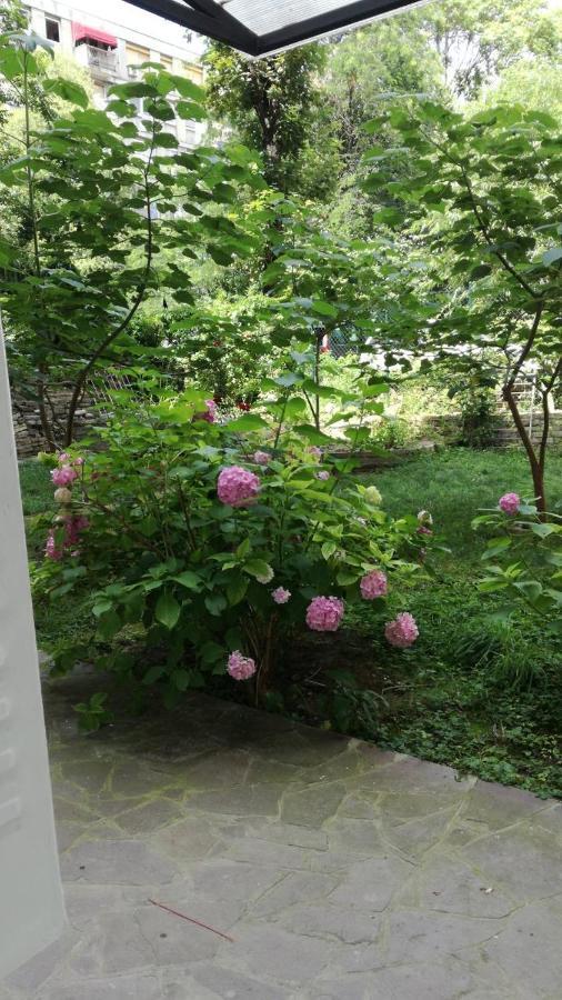 Vracar Krunska Jamiva Apartment Белград Екстериор снимка